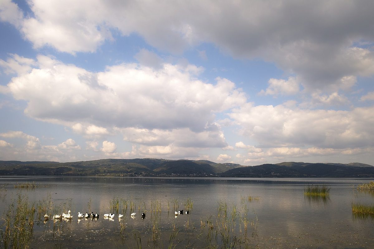 Lake Sapanca in Turkey with birds on the water and wooded hills behind